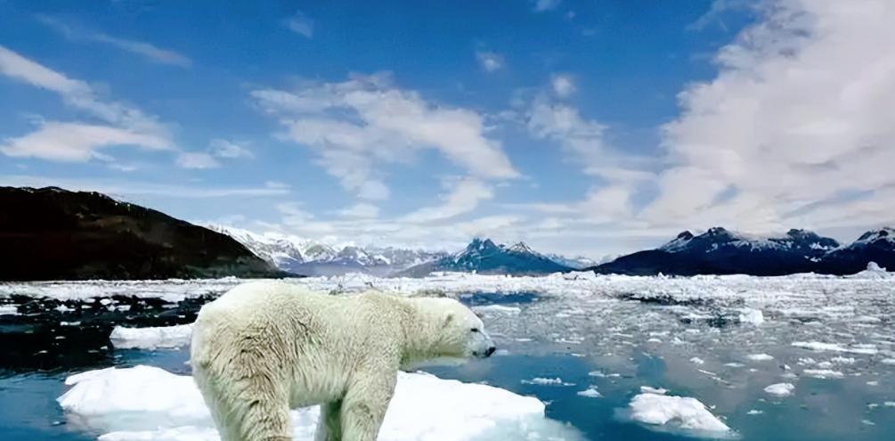 科学家:北大西洋环流或临“崩溃”!地球要降温,小冰河将重现?