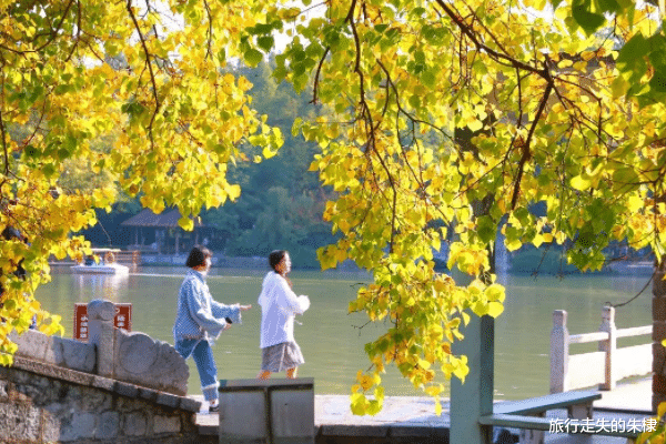 合肥蜀山将迎来一轮大改造，正谋划建设山顶观景平台，令人期待