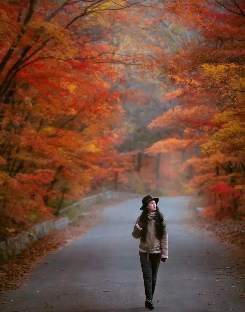 本溪|挖到秋色绝美东北小城,枫叶秒杀京都,还有复古火车和温泉