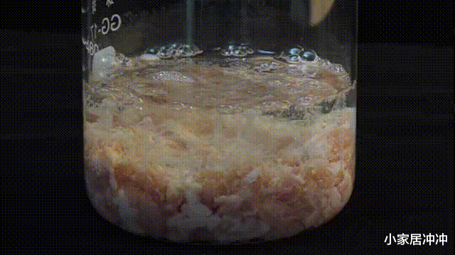 下水道堵塞还用热水冲?错了!教学会这么做,管道畅通无阻