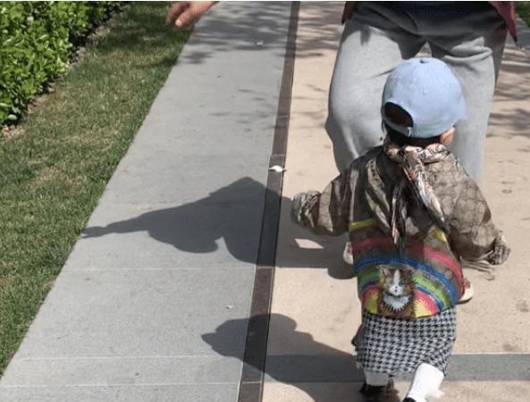 杜淳|杜淳分享女儿的萌态,学习走路,步伐已非常稳健