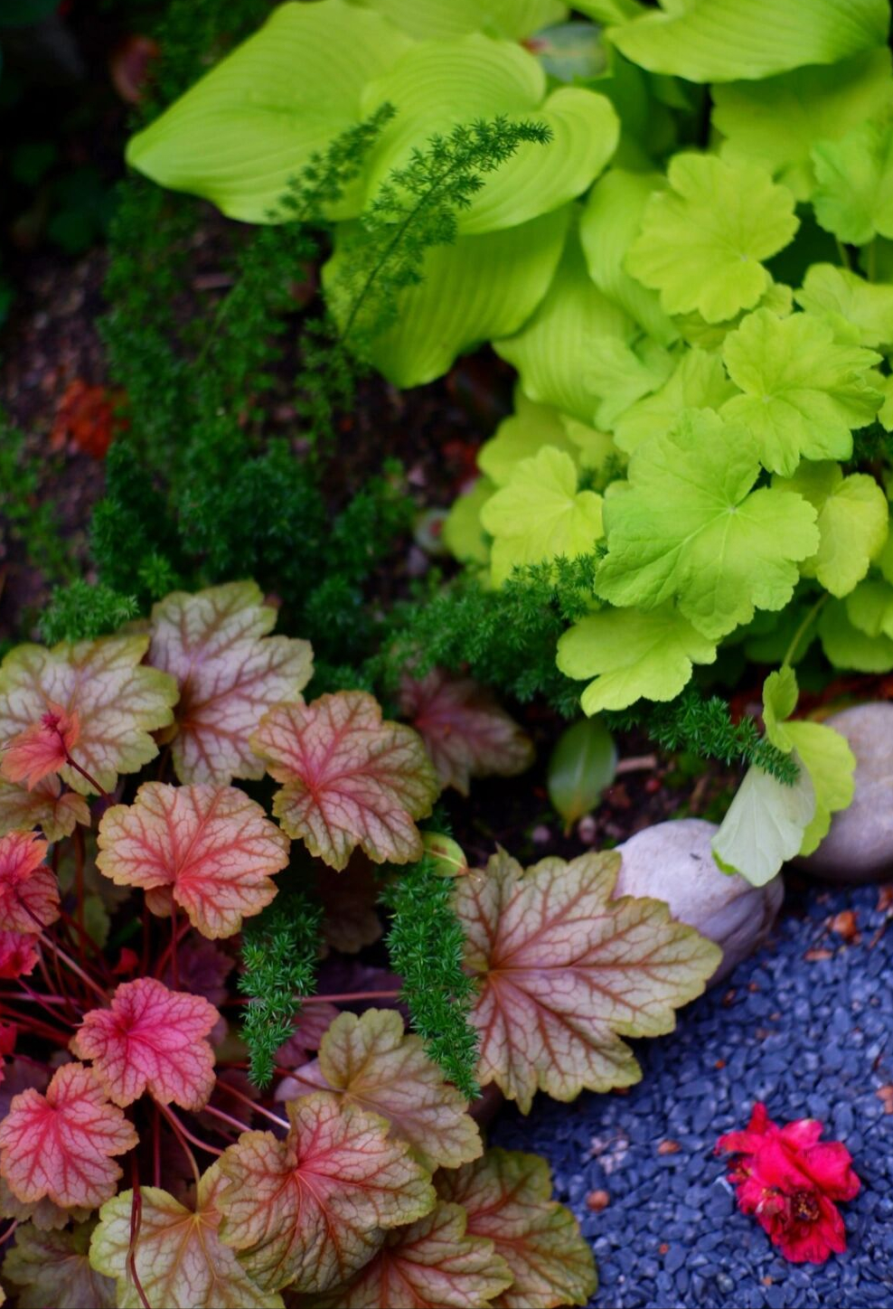 50㎡花园DIY改造，小院子这样设计，不光显大还很好打理