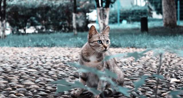 万达|为什么很多人想过一种慢节奏的生活？