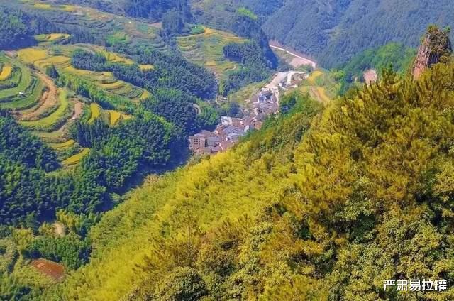 旅游业|山水不输桂林，古韵堪比杭州，这座浙南秘境还藏着一片萤火森林