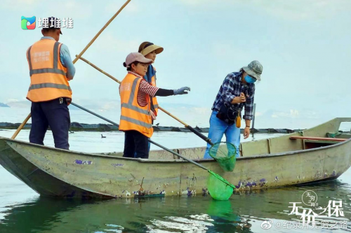 TVB|TVB众星齐聚香港庆祝祖国成立73周年文艺晚会, 携手献唱欢度国庆