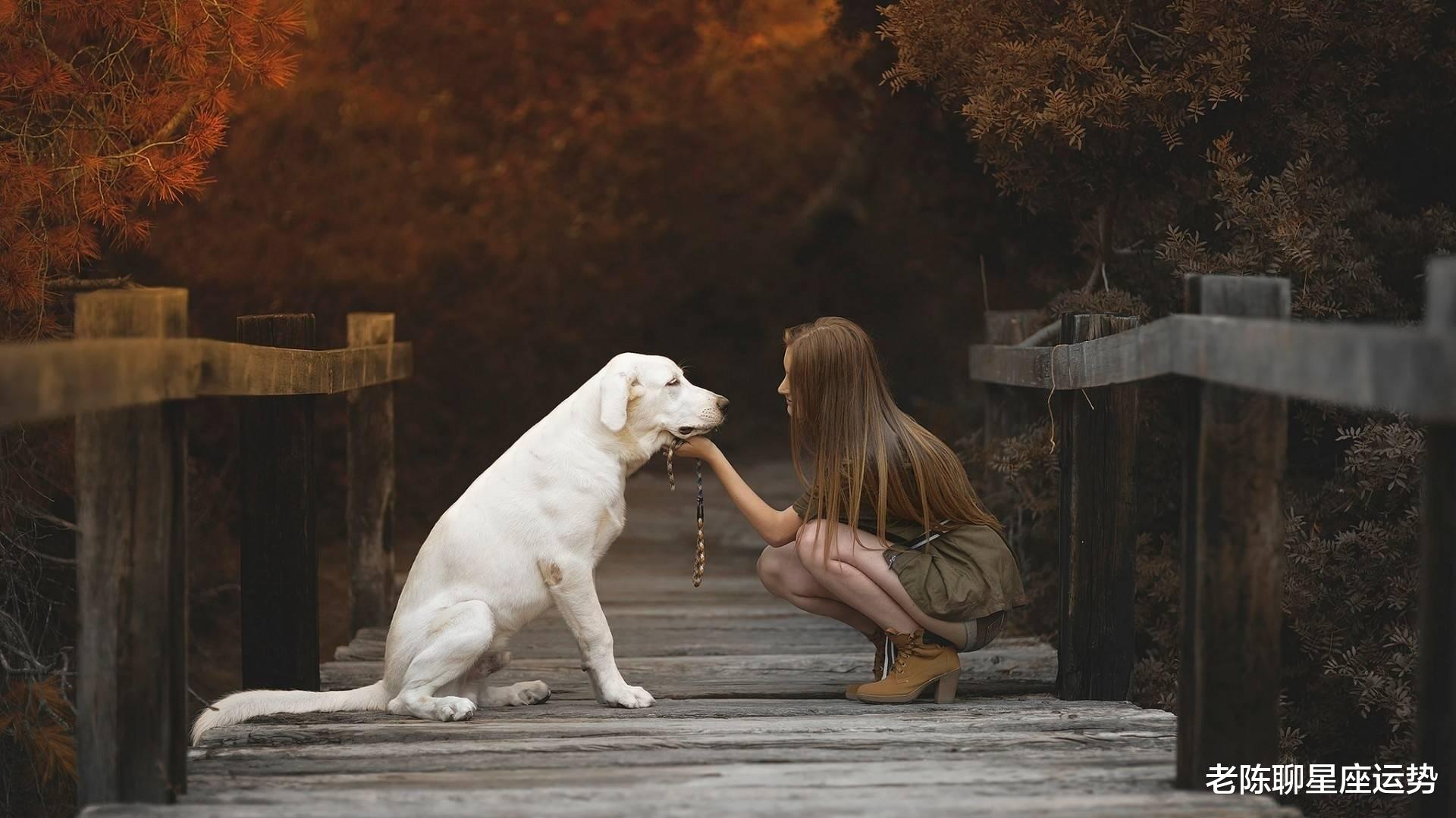 流言蜚语|从六月二日起，爱情运势挺好，这3个生肖能与爱人牵手同行，享受幸福时光了