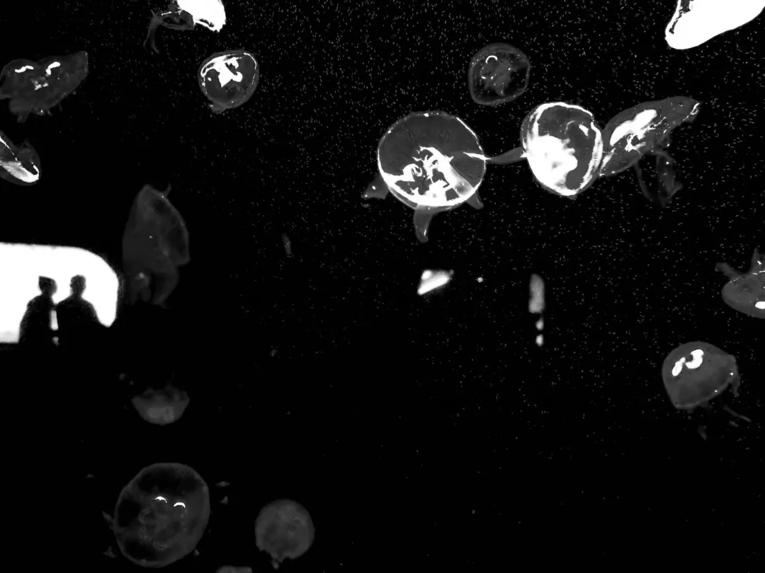 求职|人家上班，我找工作，该来的一样也逃不掉