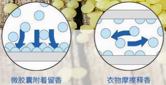 一见钟情的4个家居用品,买时心疼,用后觉得真香,建议备齐