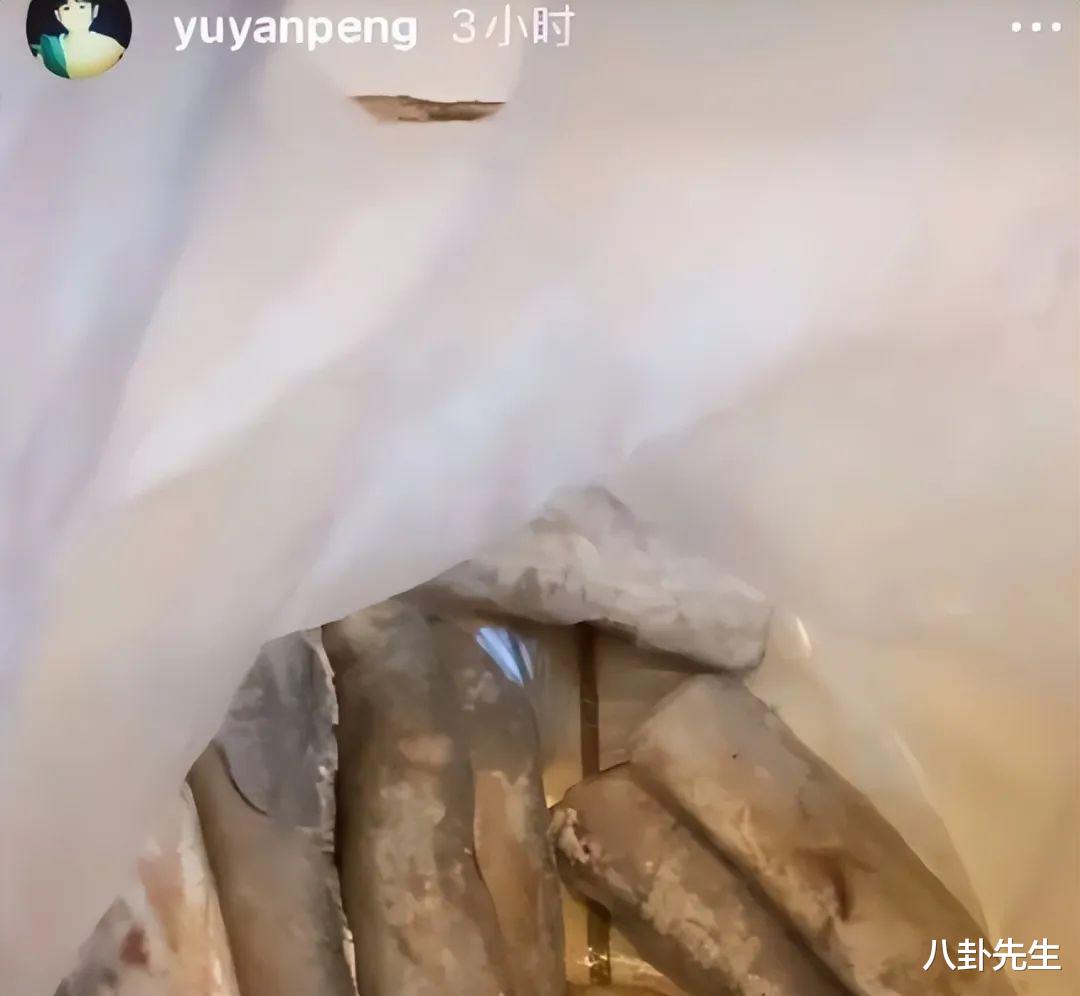 王琳|疫情下上海明星伙食大不同：雪姨王琳吃四菜一汤，左小青自烹海参