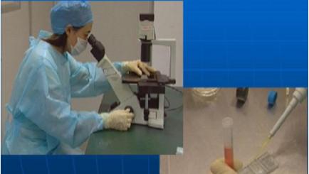 微生物检验方法-微生物计数法|初农生物