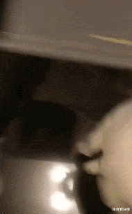 神回复 神回复：在纸发明之前，人们是用什么擦屁股的？