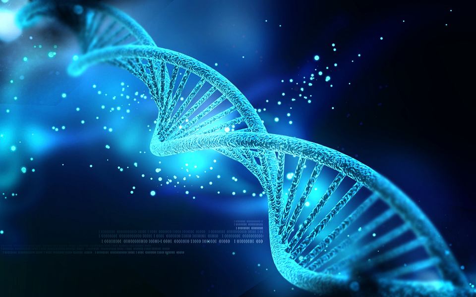 物理学中所有真正伟大的思想,都是超弦理论的“派生物”
