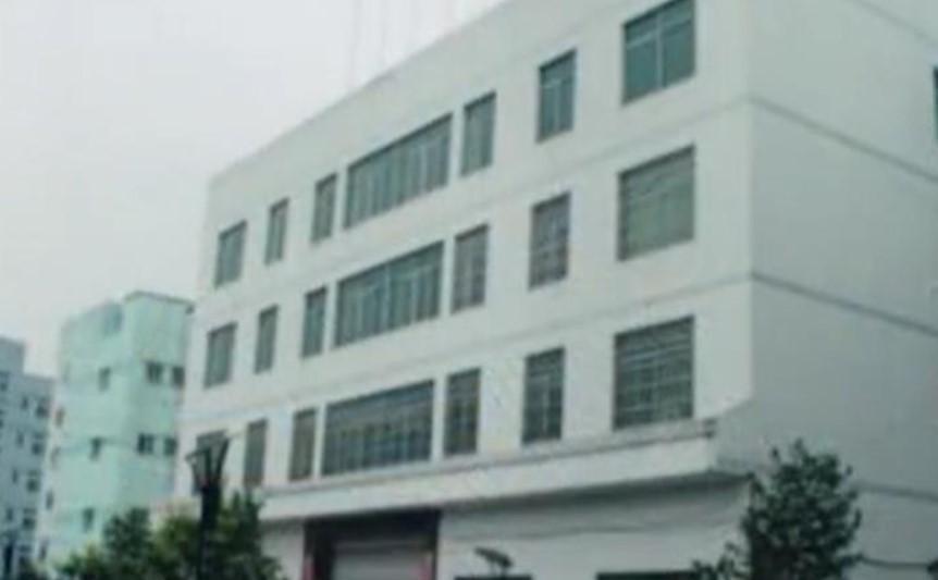 “真还奶奶”陈金英:80岁欠债2077万,拒不申请破产10年全部还清