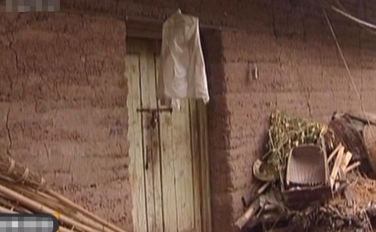 妻子消失30年,儿子为寻母车祸离世,家里土地征收突然回来求复合