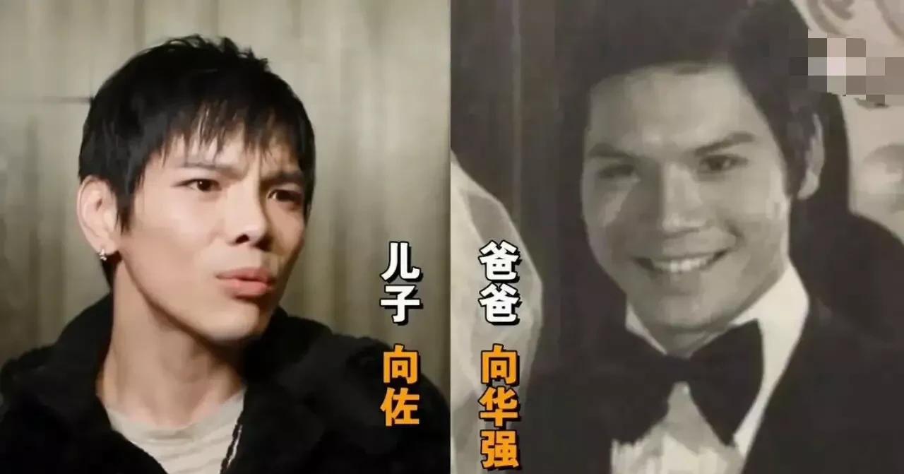 邱淑贞|“复制粘贴”的明星子女,戚薇不算啥,看到邱淑贞:基因太强大