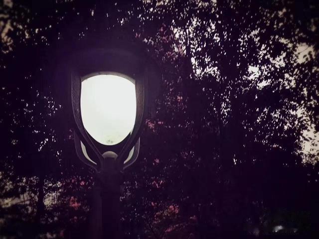 高血压|是不是因为生活所迫，所以才肆意挥霍自己的身体