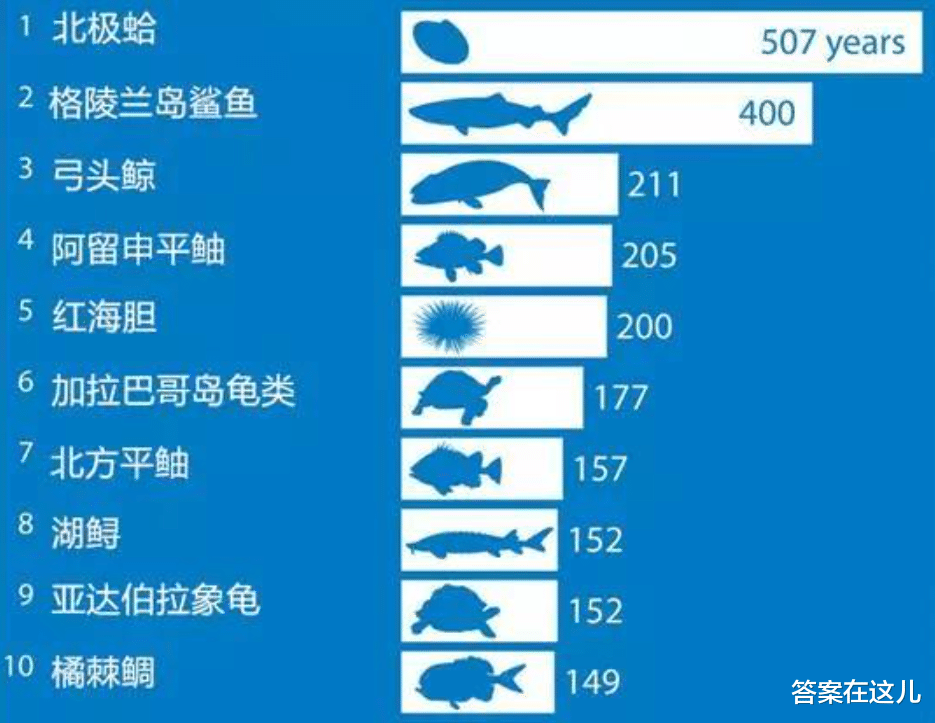 人类极限寿命和什么有关,理论上能活多久?听完科学家解释就懂了