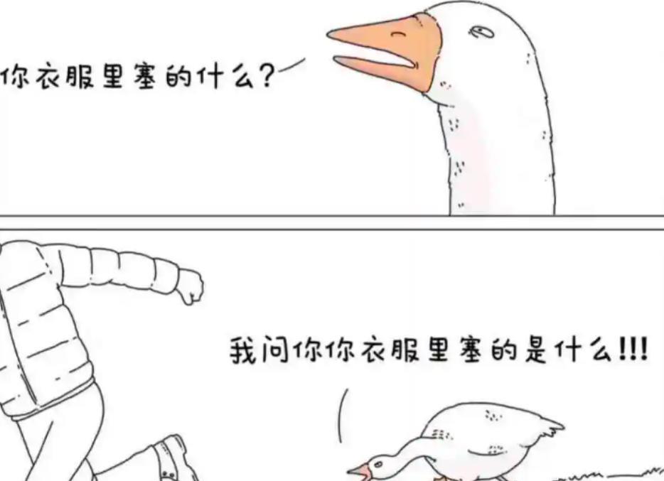 动物都怕鹅?大鹅战斗力为何那么强?鹅与蛇之间又有啥恩怨纠葛?