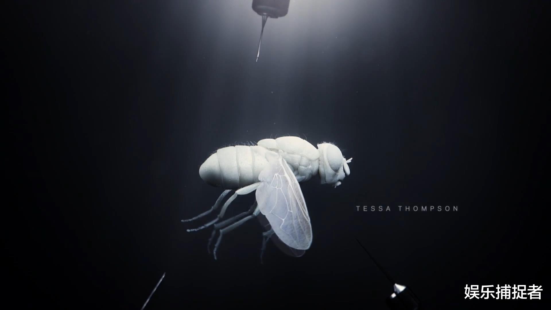 西部世界|《西部世界》第四季第1集细节解析与本季剧情预测