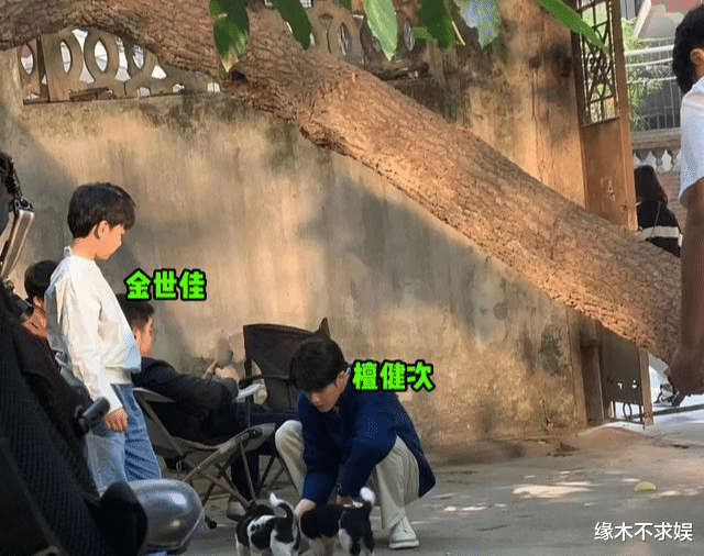 猎罪图鉴|童星晒与《猎罪图鉴》演员合影，檀健次风格多变，金世佳莫名可爱