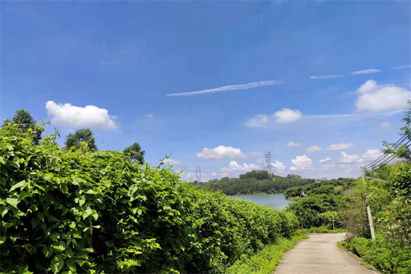 园林|东莞户外农家乐一日游|公司团建户外拓展场地