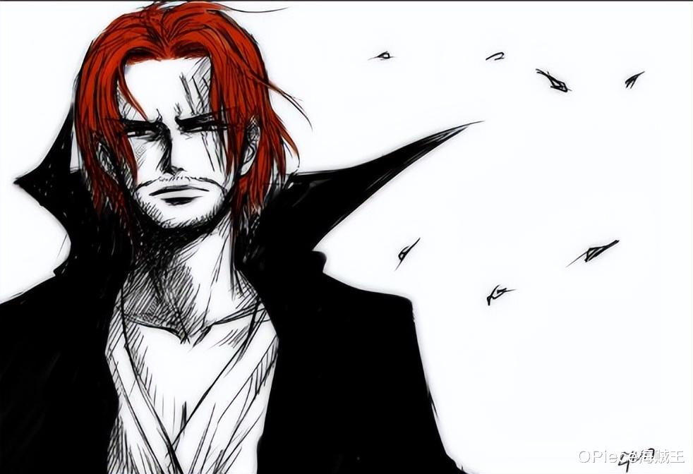 海贼王|海贼王里帅哥云集，第一名非他莫属！