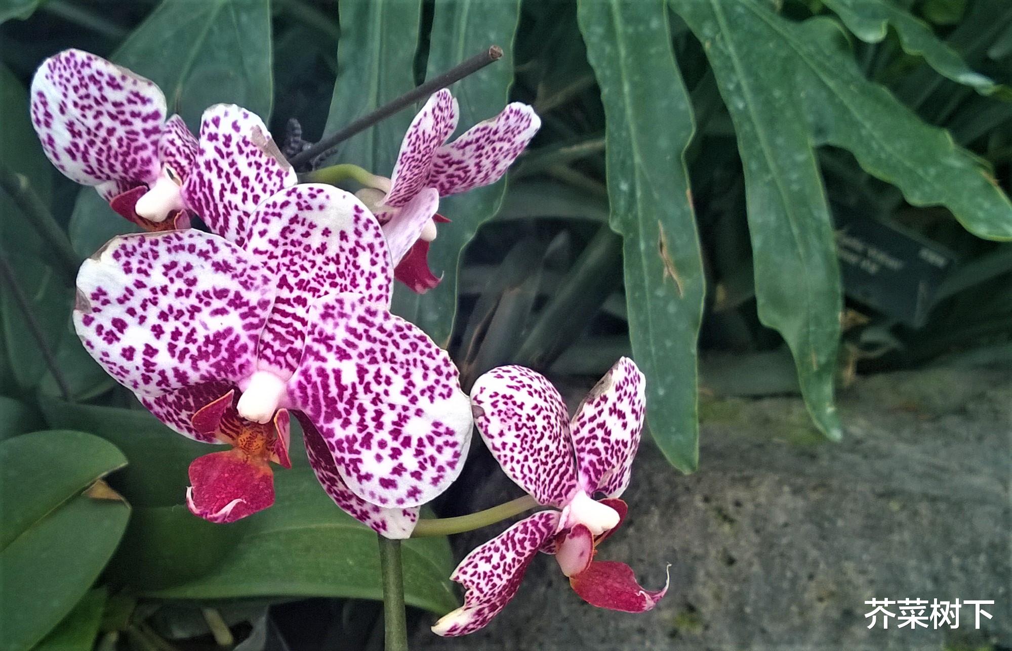 澳洲|行走职场,控制好你的控制欲