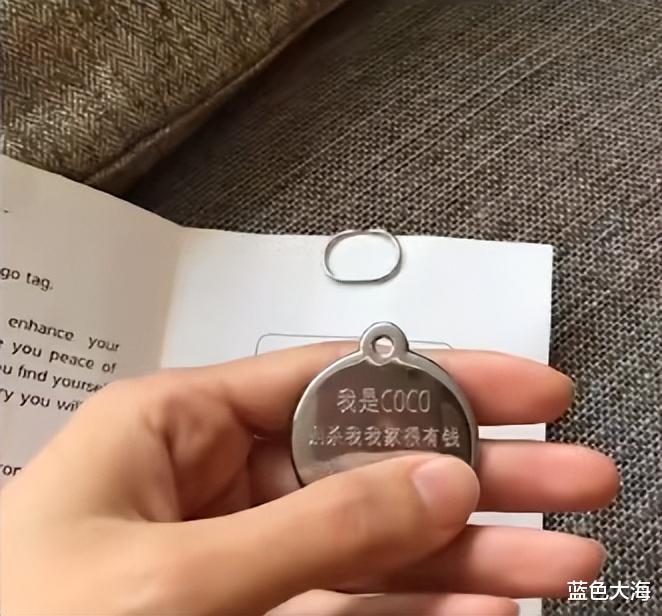 王思聪|王思聪一次次向我们证明，有钱真的可以为所欲为