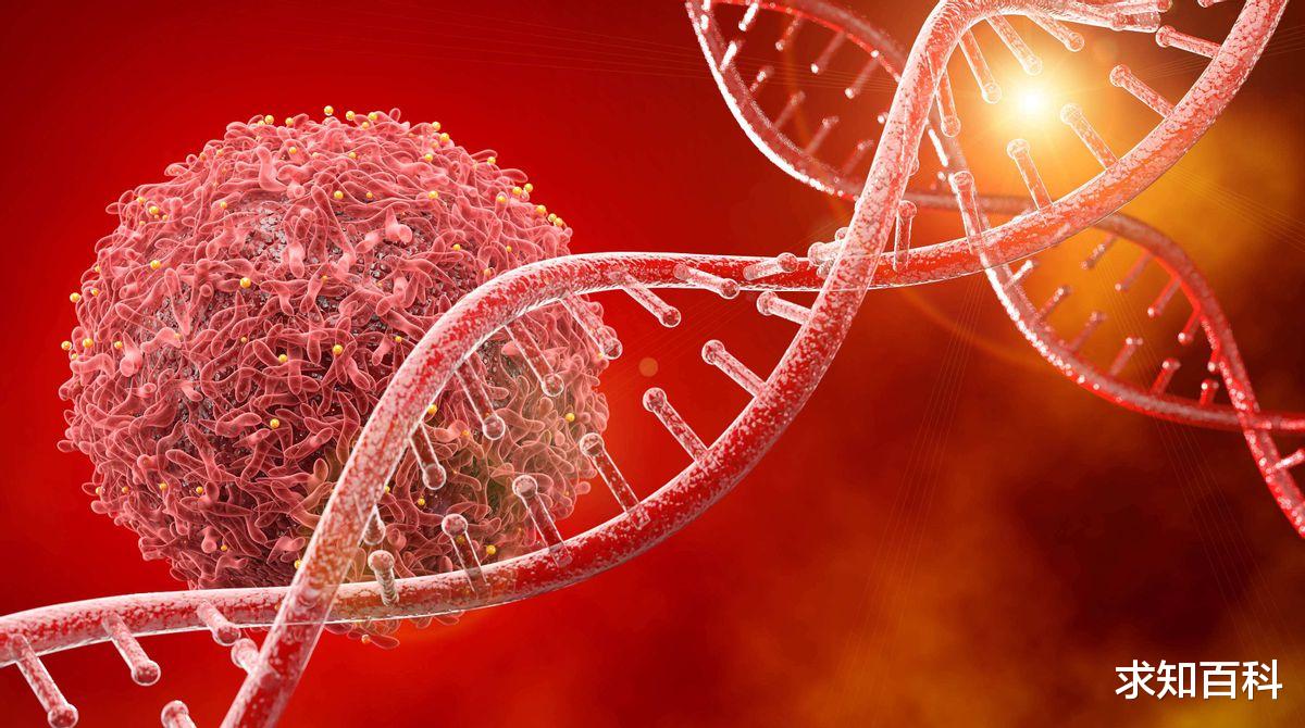 美国生物研究:构成身体的一半是“非人类”细胞,你只算43%的人