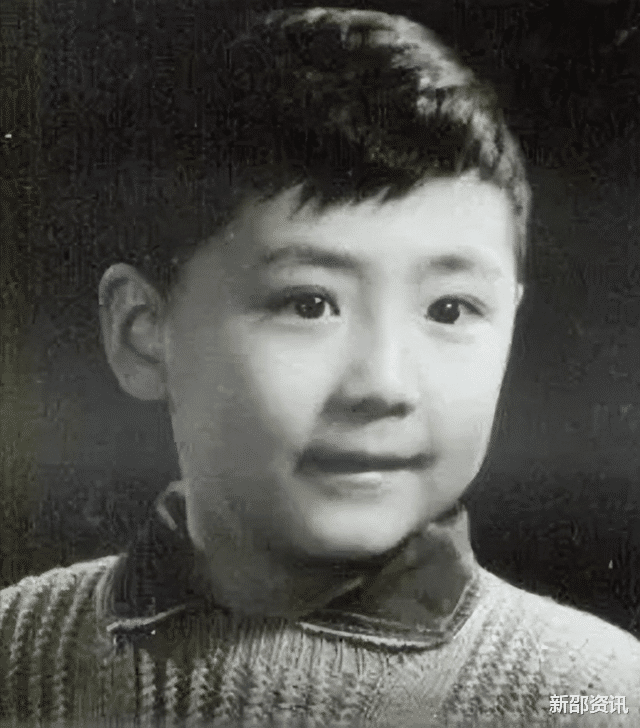 张子健|被李婷“逼着”离婚,前妻去世后才知真相,张子健的心中有愧疚