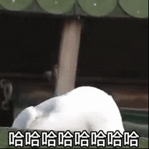 |中年男人,为什么喜欢钓鱼?