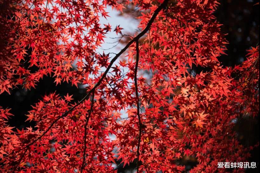 新年扫新房，更要扫心房