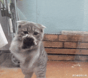 win8|为什么win8后就是win10，win9哪去了？笑死了