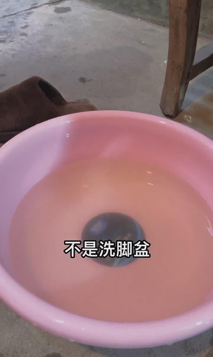 福建女子毛巾被当擦脚布,公公用脸盆洗脚,争辩后被斥:穷讲究啥