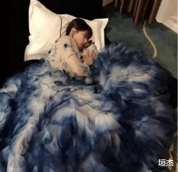 刘涛|一集片酬50万，年入1.8亿，5年还清4亿债务，刘涛到底有多赚钱？