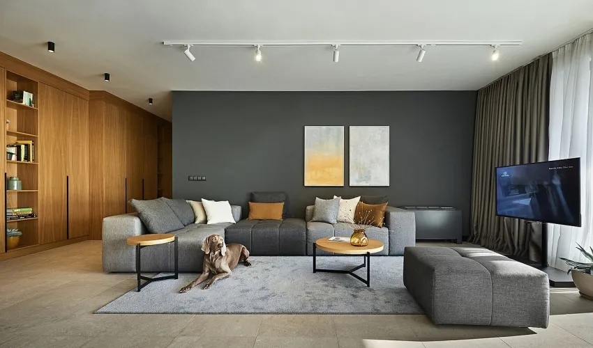 个性、实用、颜值高的单身公寓