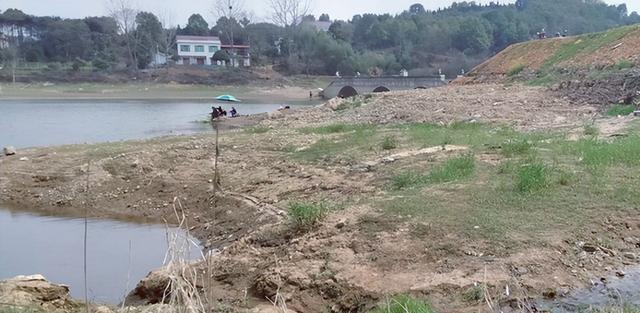 湖南|湖南一河边出现大量发臭的甲鱼，死因成谜，钓鱼人：电鱼造成的