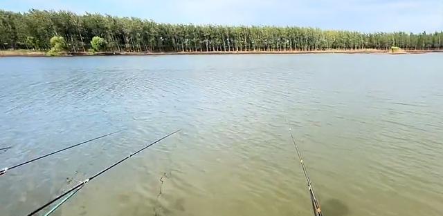 武汉|湖北一河道成天然黑坑,钓鱼人闻讯后蜂拥而至,现场环境令人担忧