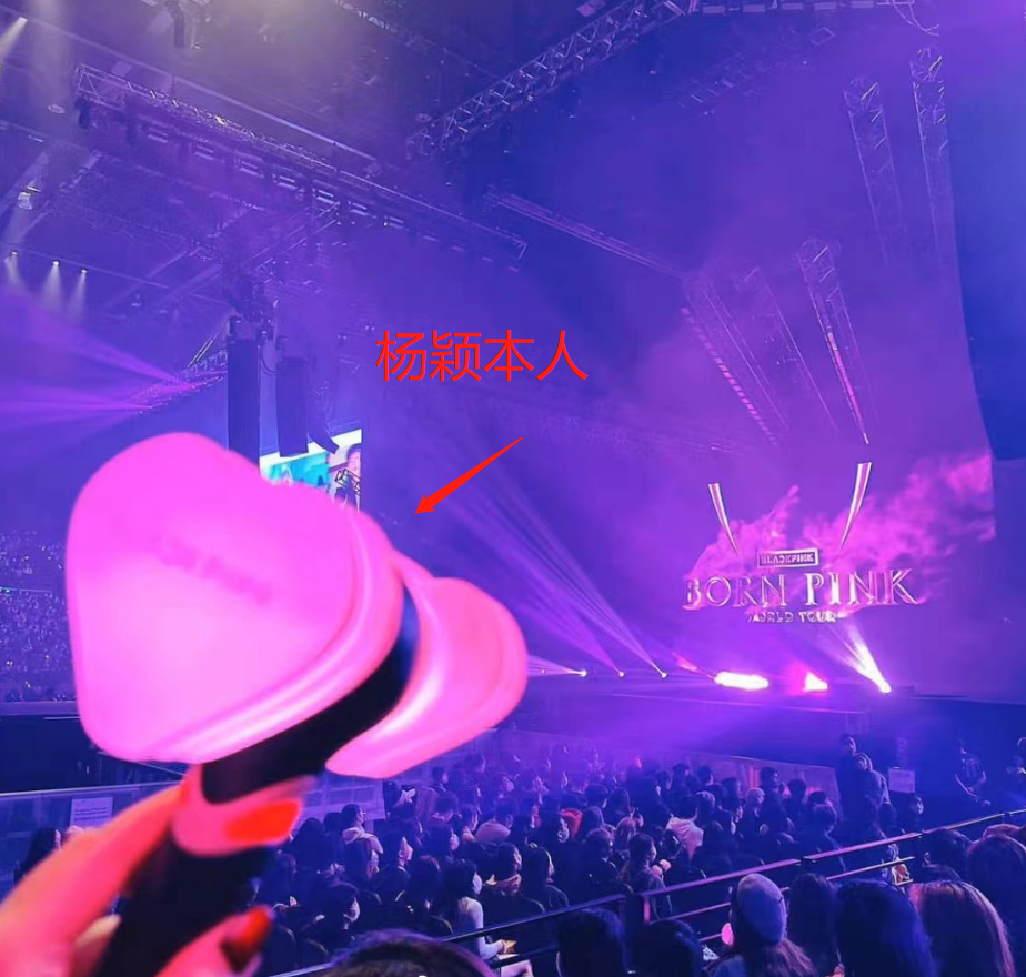 宋茜|baby花2600抢会员座拿荧光棒支持韩国艺人,现场摆拍合影特别开心