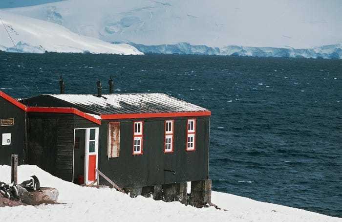 招聘|南极洲招人“数企鹅”，没wifi还得给企鹅铲屎，却有6000人抢着去！