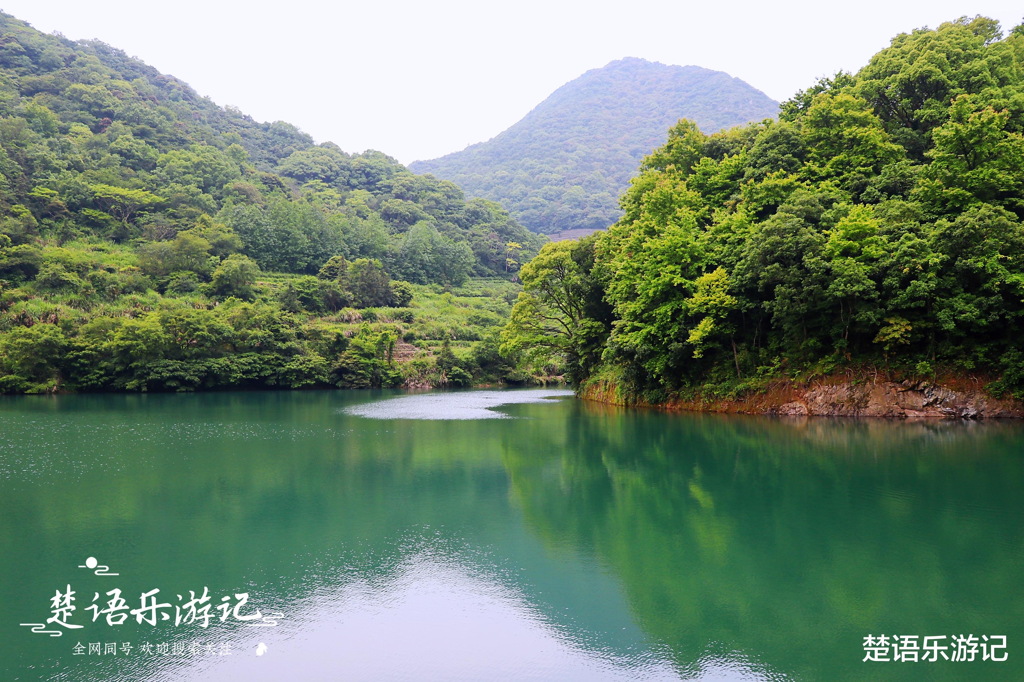 清远|宁波北仑慈东村的三个水库,个个绿如翡翠,成为绝佳的露营胜地