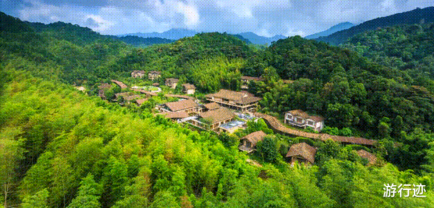 新安江|盛夏避暑来这里!媲美瑞士童话风的树屋秘境!