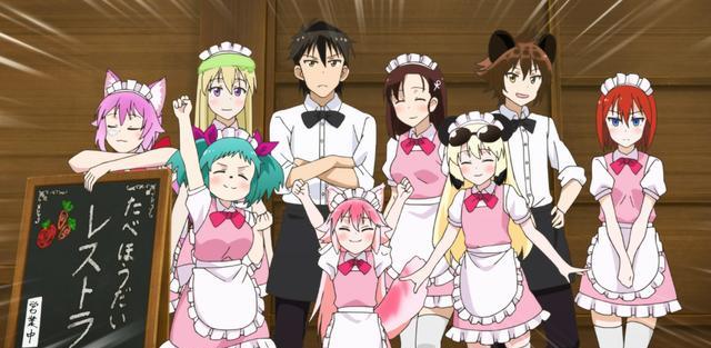 终末的后宫|一月番《终末的后宫》人气这么高,它的制作公司还做过哪些动画?