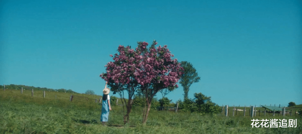 初恋|日剧《初恋》：一流演员三流剧情，靠主演撑着了