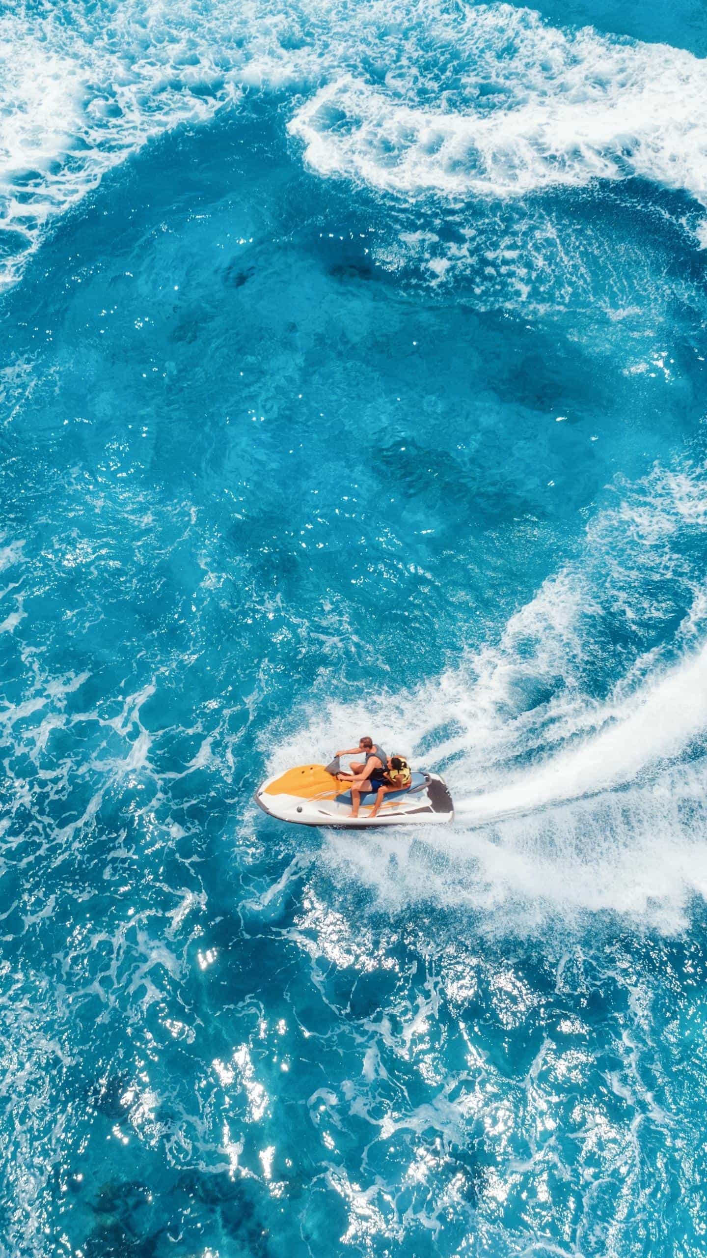 郁金香抗抑郁 抑郁的你，有过惊恐发作的经历吗？