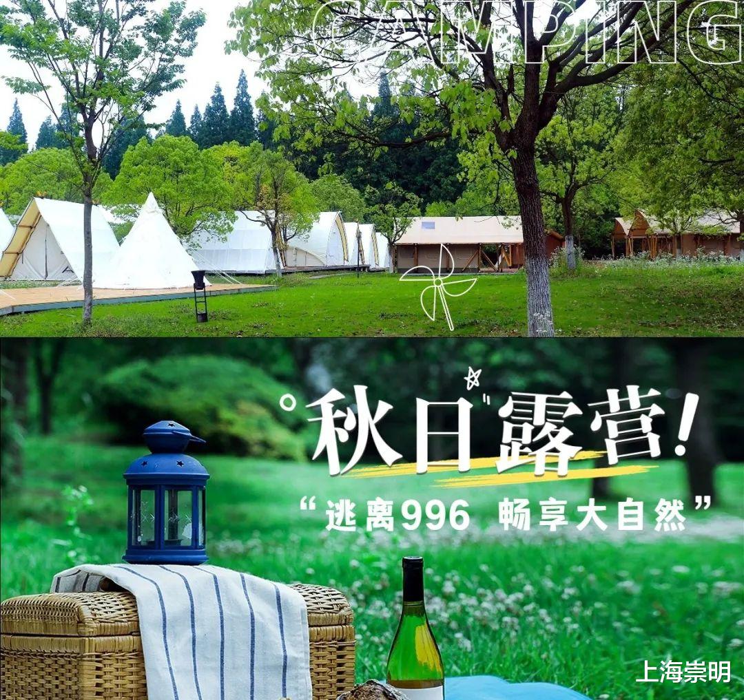 蝴蝶|星空房车、帐篷露营、烧烤派对……崇明这个公园里都有!