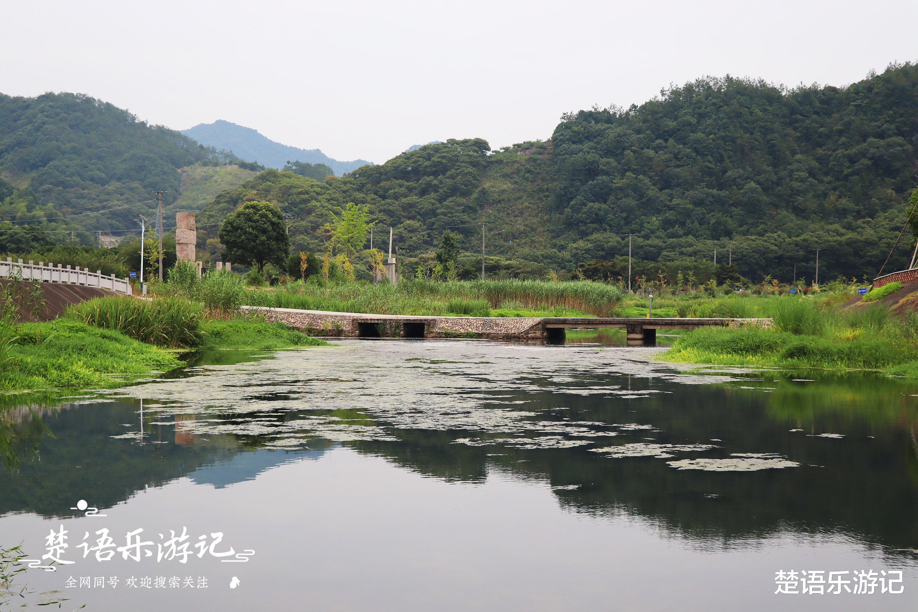 |新昌这个村因一民宿而出名，是山野里的乌托邦？真实情况原来这样