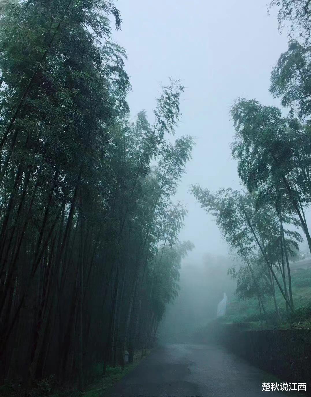 庐山|庐山鄱口深处,有个神秘的太乙村!