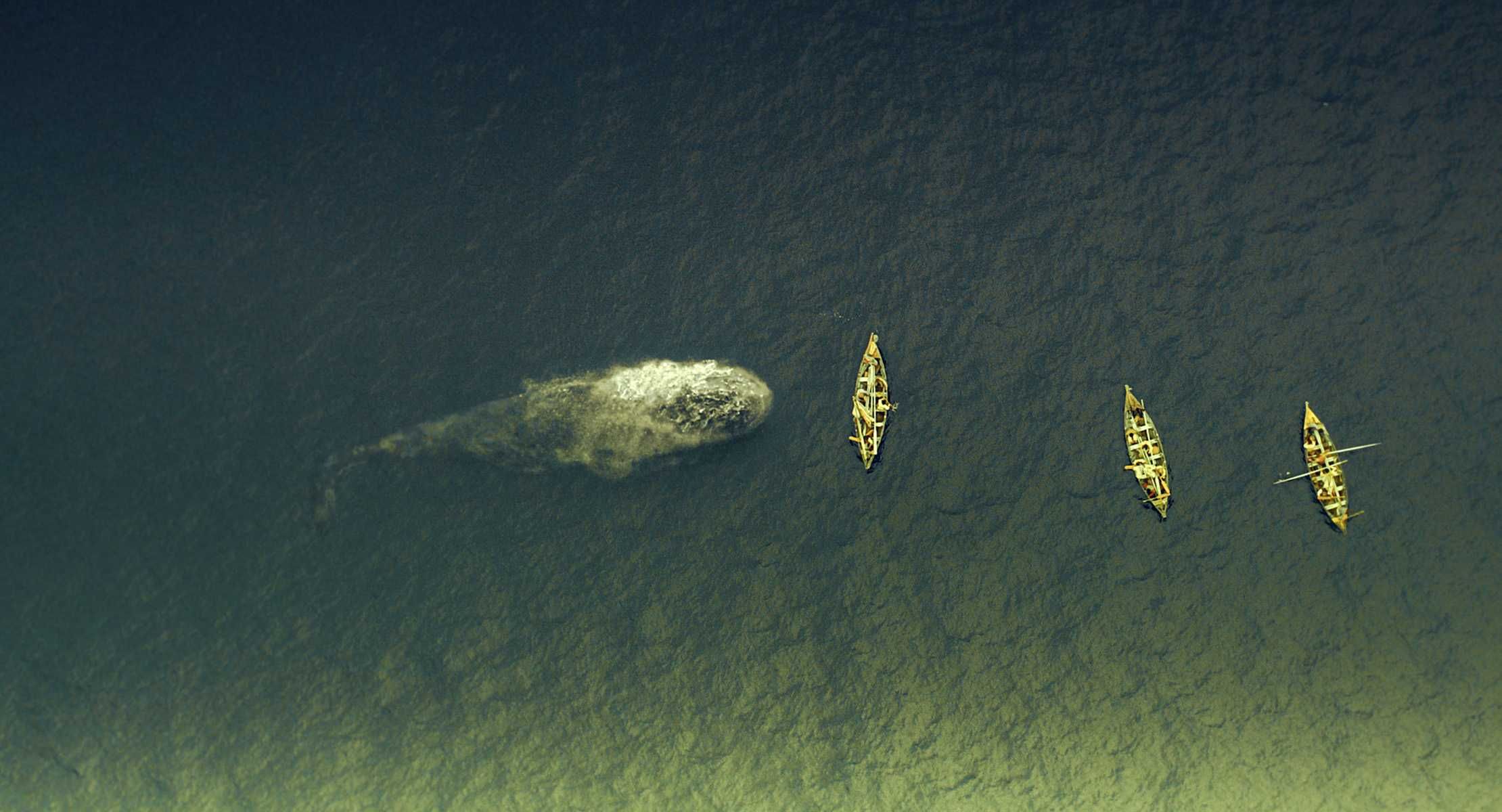 《海洋深处》:惊心动魄的磅礡历险,深刻揭露人类贪婪自私的本性