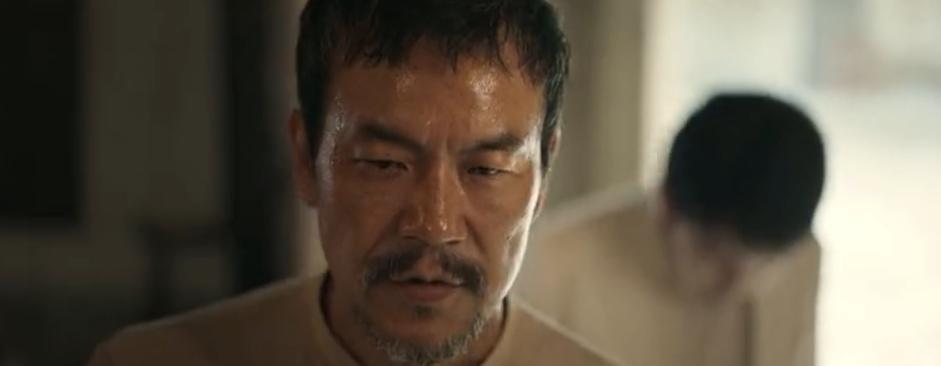 佟丽娅|佟丽娅又一革命传奇剧《欢颜》来袭，搭档张译董子健，阵容不错